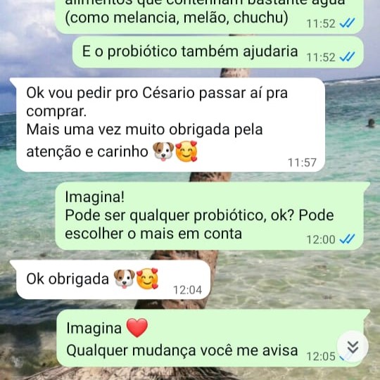 Print 1 Whatsapp com cliente passando Feedback sobre o atendimento do consultório da Dra. Bianca em Ribeirão Preto